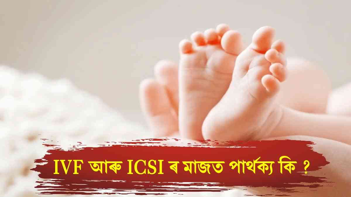 ICSI baby turns dad at same hospital in Mumbai