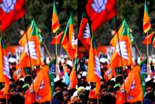 The Bhartiya Janata Party candidate Kuljeet Singh Sandhu on Monday won the senior deputy mayor election while Rajendra Kumar Sharma of the saffron party won the Deputy Mayor post getting 19 votes.