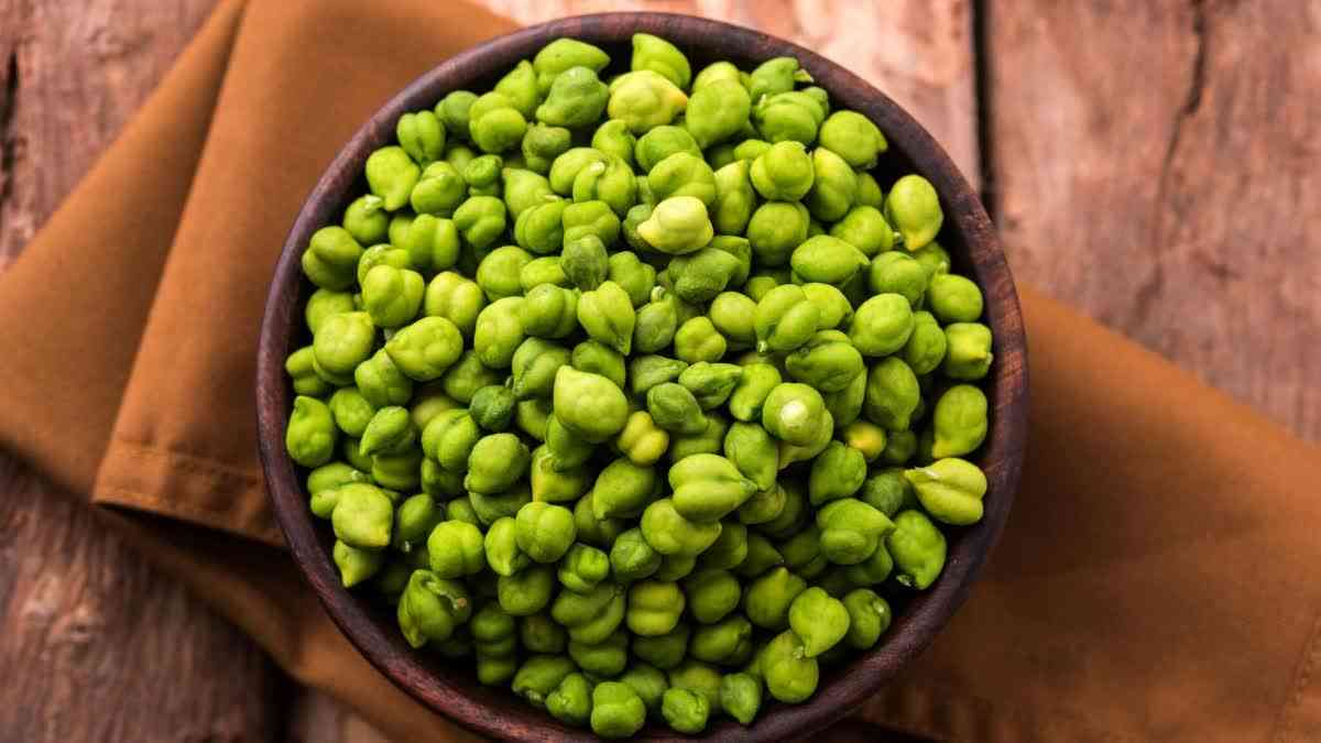 Health Benefits Of Snacking On Green Chickpeas During Winter