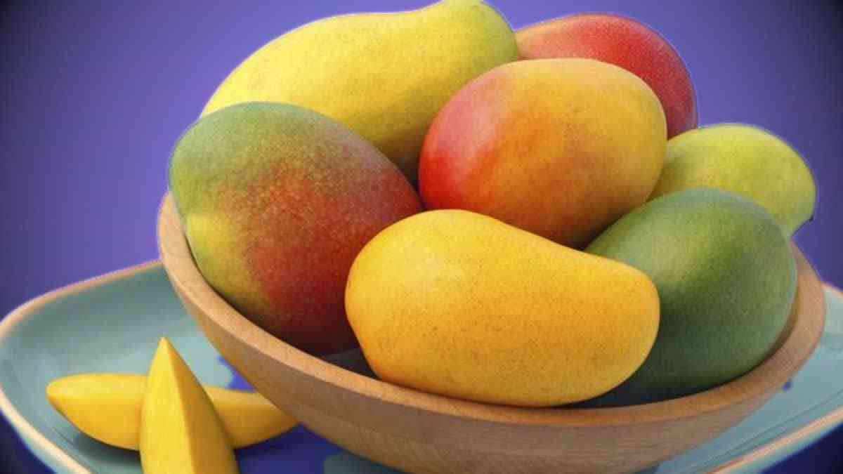 Health Benefits Fits Of Mango Fruit