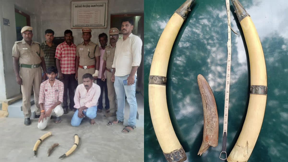 Men Arrested With Ivory Near Cumbum