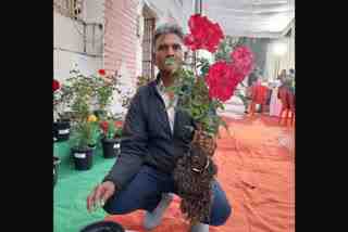 A man from Madhya Pradesh’s Jabalpur has found a sustainable method to bloom flowers using industrial waste as fertiliser.
