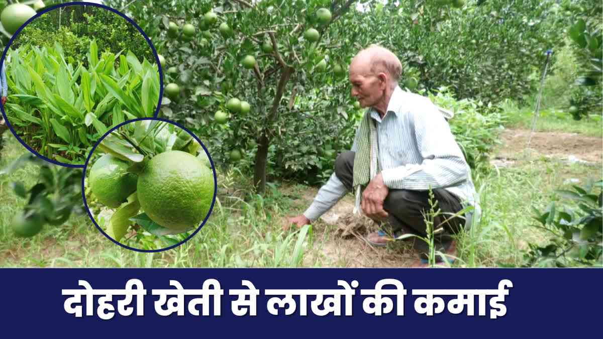 Hamirpur Farmer Prakash Chand