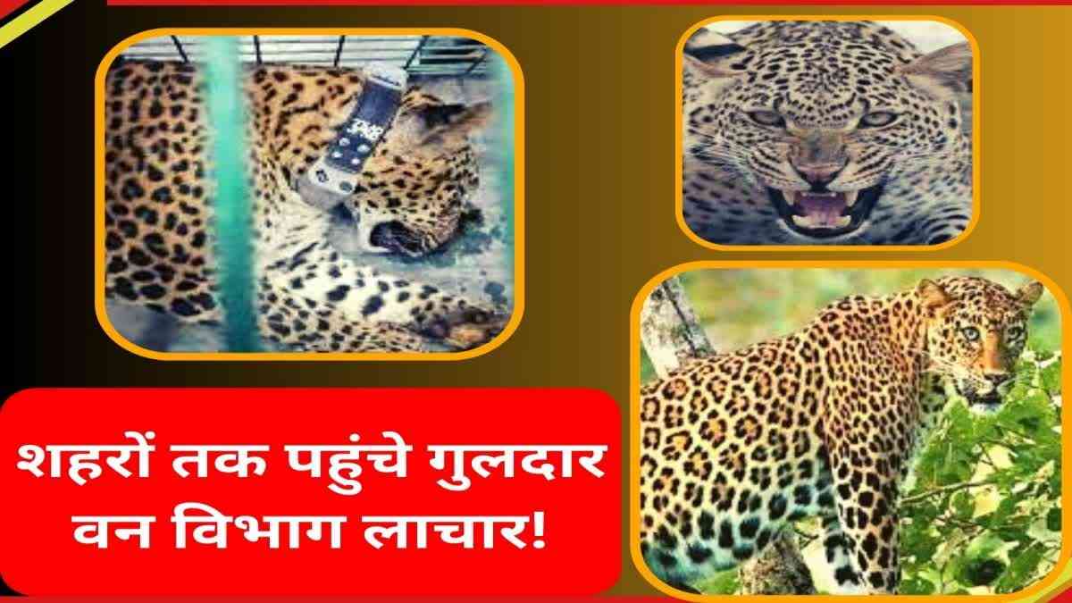 Uttarakhand wild life attack