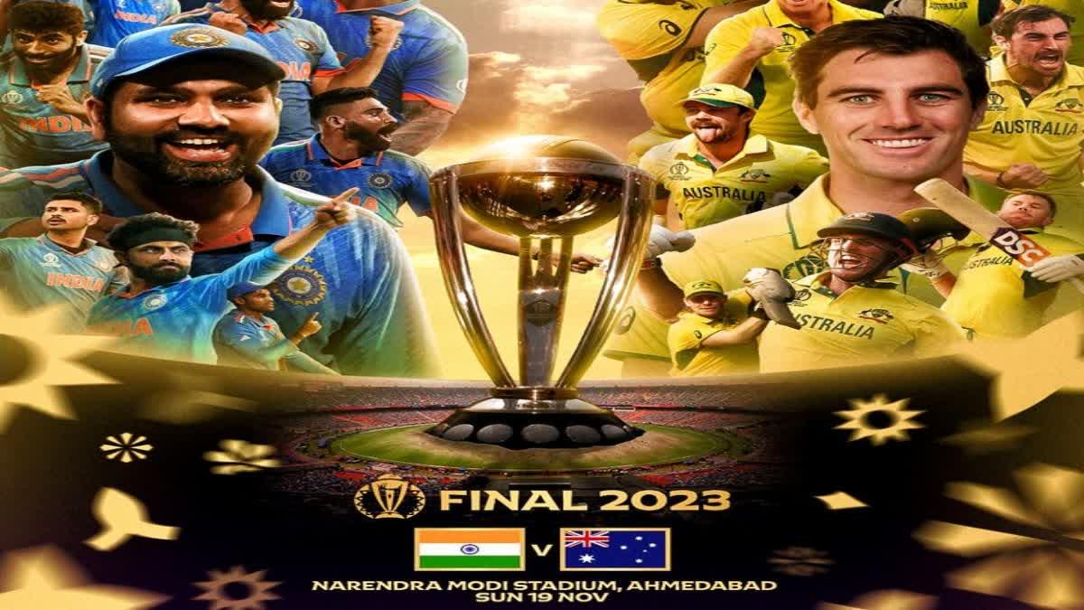 People excited for Cricket World Cup final
