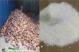 drugs seized in pune