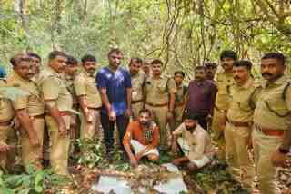 Four Accused Arrested In Nilambur  Bison Hunt  Wild animal in Malappuram  മലപ്പുറം കാട്ടുപോത്ത് വേട്ട  നിലമ്പൂർ ഫോറസ്റ്റ്