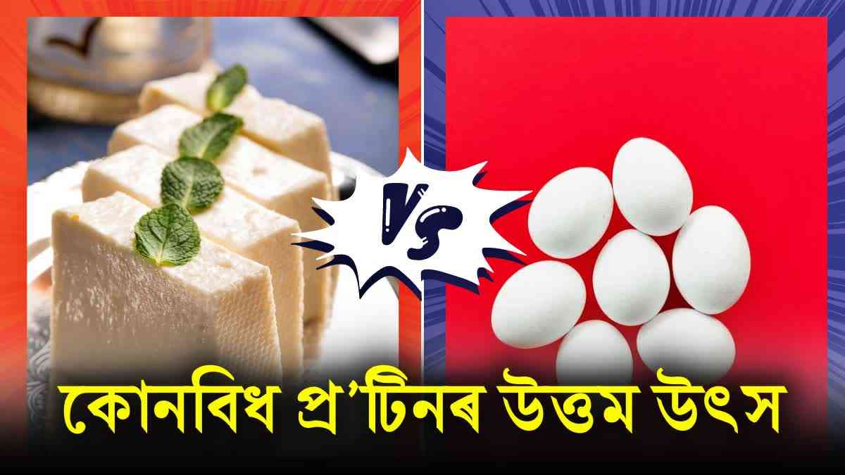 Paneer or egg: Which has more protein, and how to include them on your diet