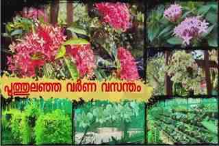 അലങ്കാര ചെടി നഴ്‌സറി  Ornamental Plant Nursery  Plant Nursery In Kannur  CDB In Kannur  തേങ്ങ ഉത്‌പാദന കേന്ദ്രം പാലയാട്