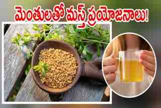 Health Benefits of Fenugreek Seeds