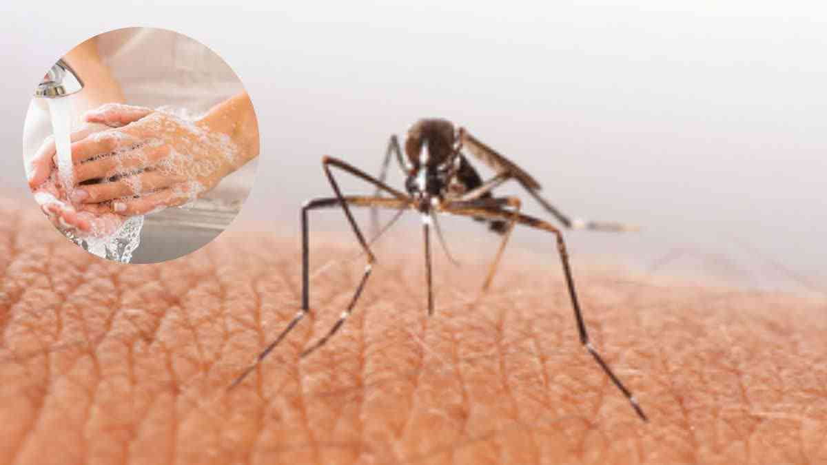 soap help fight mosquitoes that spread malaria