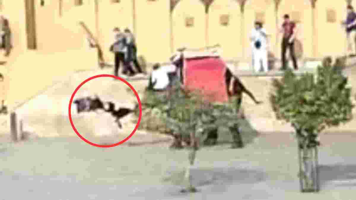 Russian woman attacked by elephant Gauri in Jaipur