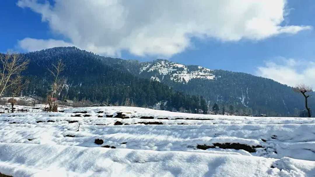 snowfall in himachal and kashmir