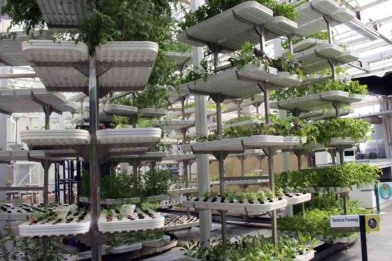 vertical farming haryana