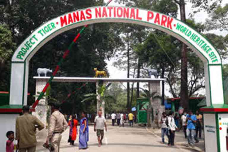 manash national park
