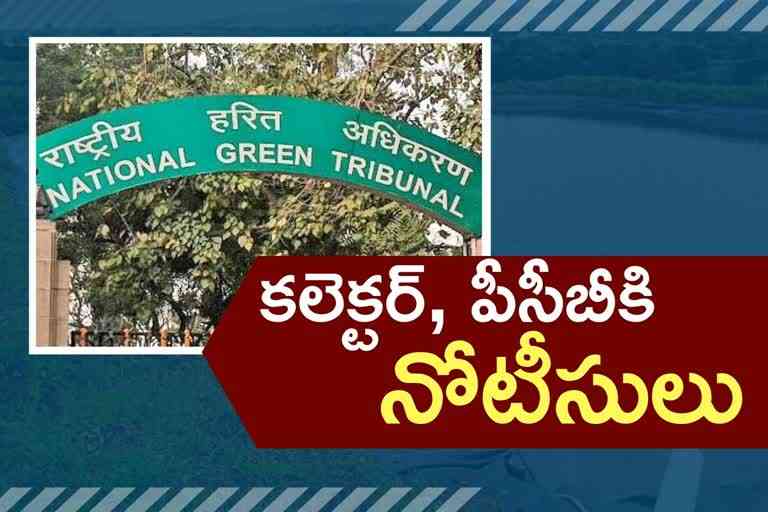 Investigation in NGT on pond encroachments near Suryapeta New Collectorate