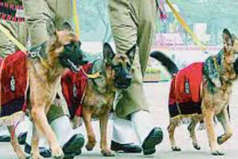 Dog squad team will be strong in Jharkhand