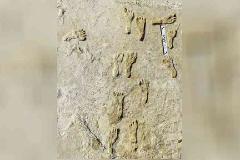 न्यू मैक्सिको में आरंभिक मनुष्य के मिले पैरों के निशान
