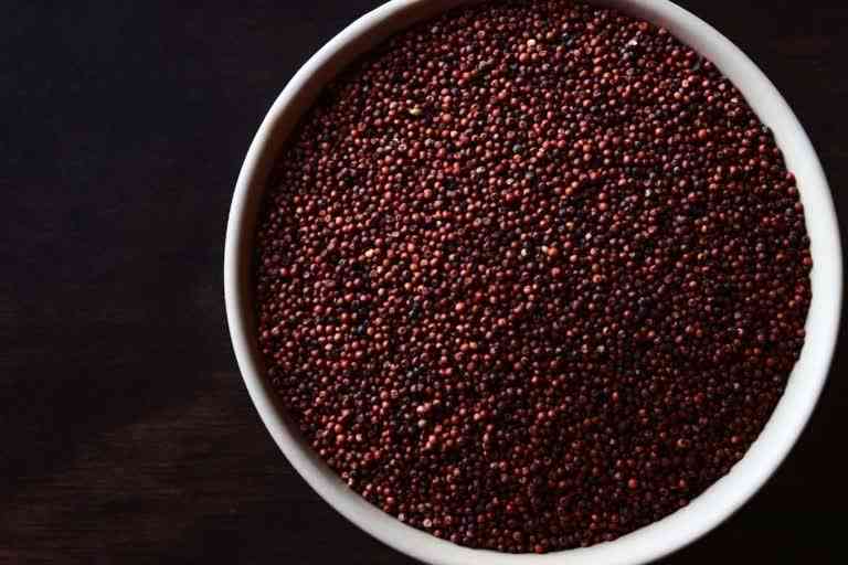 ragi, benefits of ragi, what is ragi, what are the benefits of ragi, nutritional value of ragi, Eleusine coracana, ragi, nutrition, nutrition tips, healthy food ideas, health foods, superfoods, Finger millet, what is Finger millet, health benefits of ragi, can ragi help in weight loss, weight loss tips, what to eat for weight loss, how to lose weight fast, ragi recipes, Indian millets, nutritious foods