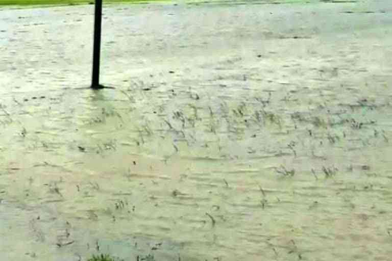 lower area people terrified due to heavy rain in jagatsinghpur