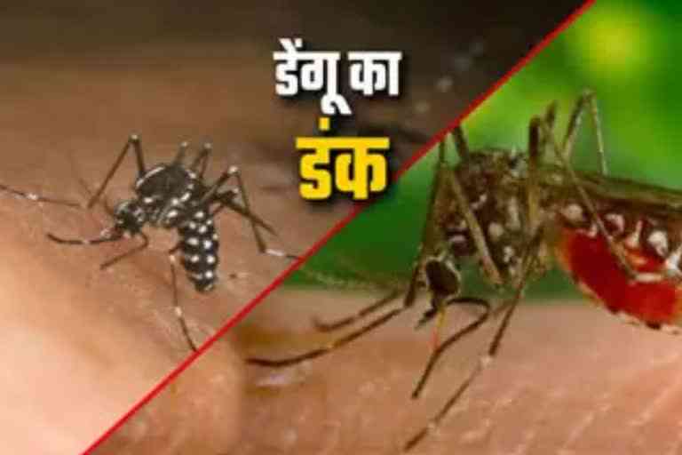 dengue-outbreak-increasing-in-kurukshetra-103-cases-of-dengue-have-been-reported-so-far