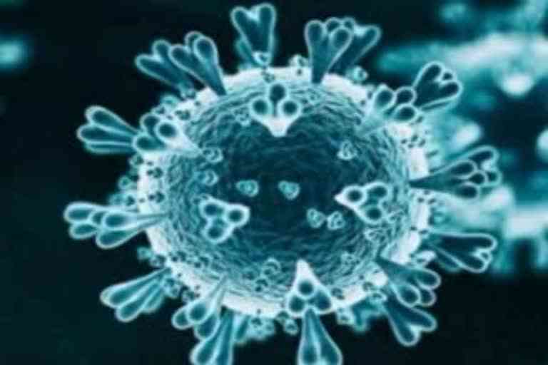 कोरोना वायरस (कॉन्सेप्ट फोटो)