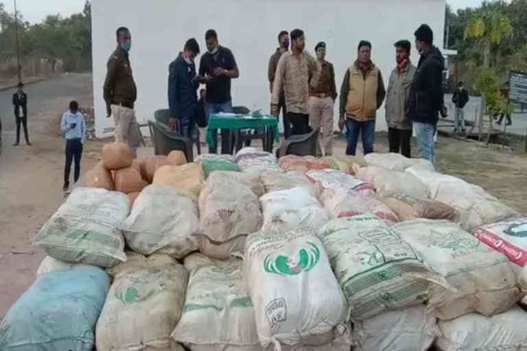 smuggling under guise of cabbage in Balrampur