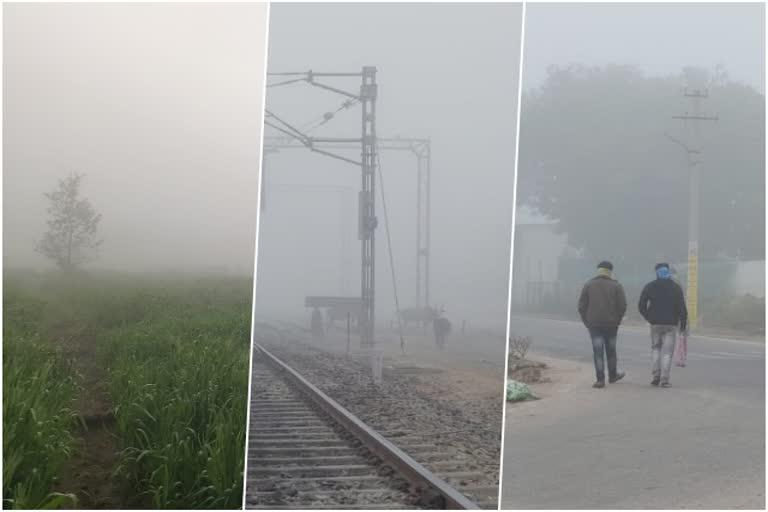 Dense Fog In Bijainagar Of Ajmer