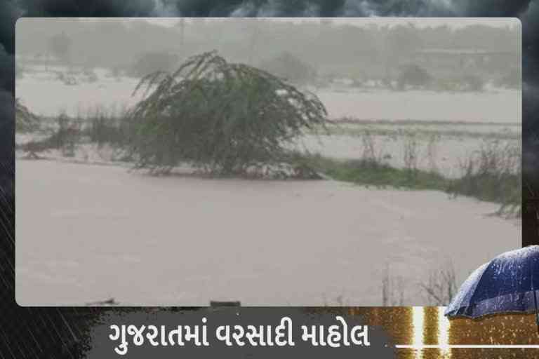 Monsoon Gujarat 2022: ગીર સોમનાથમાં વરસાદની ધડબડાટી, કોડીનાર અને સુત્રાપાડા તાલુકા ફેરવાયા બેટમાં