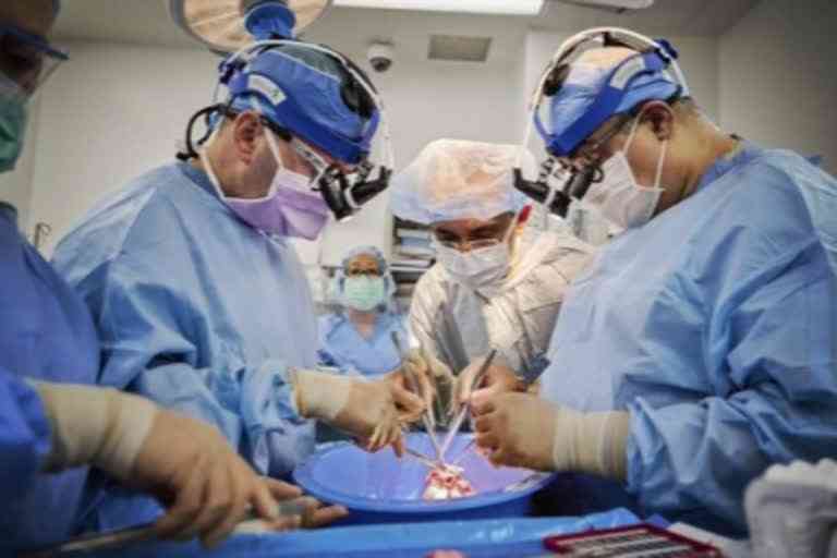 Pig-to-human heart transplant in brain dead patients successful