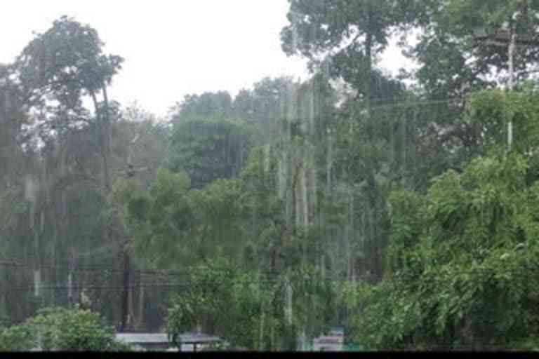 Chances of good rain in some districts of Madhya Pradesh