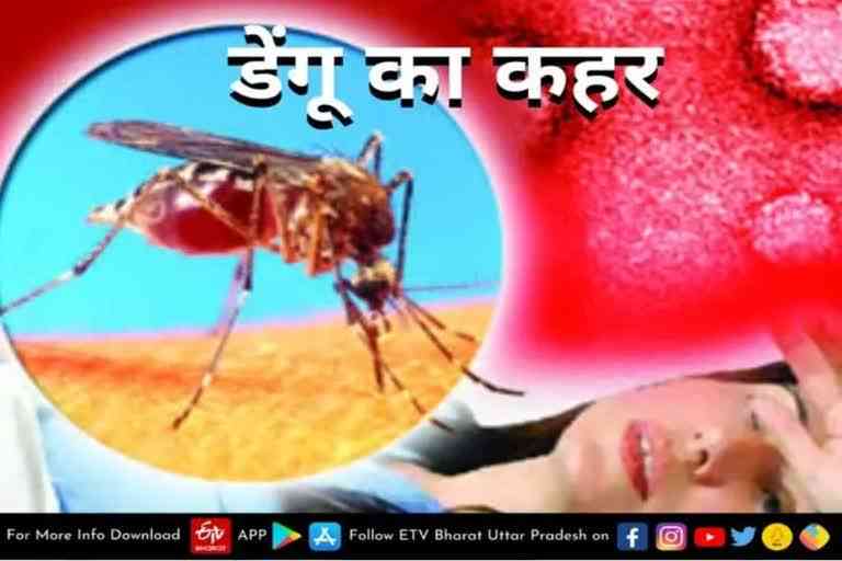 dengue symptoms prevention dengue cases rising