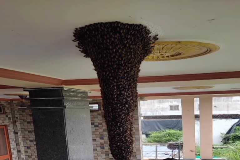 beehive at home in Mulugu