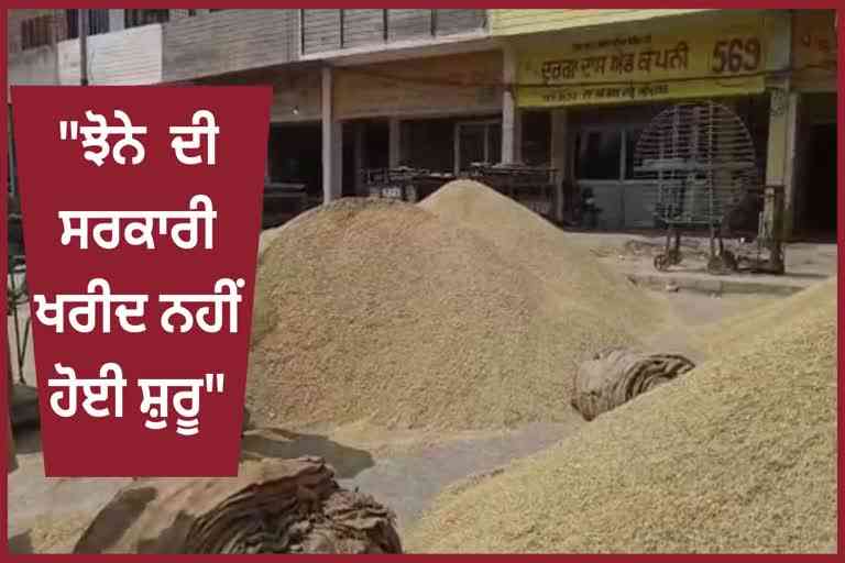 government purchase of paddy in Amritsar