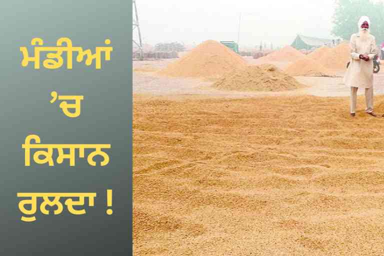 government did not buy the farmer paddy in the grain market of Jandiala, the farmer is upset