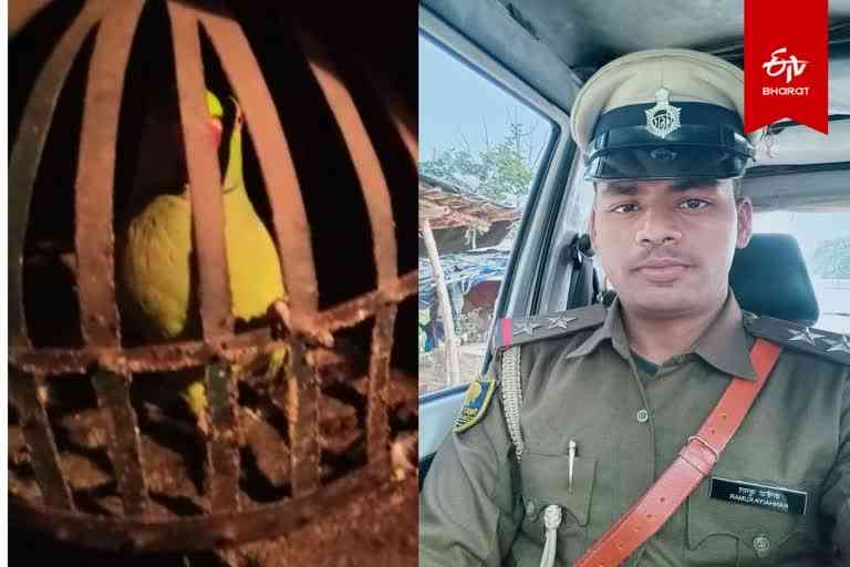 Gaya police interrogated the parrot