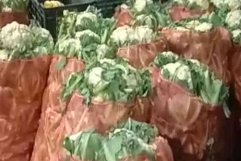 Vegetables price in Solan today)